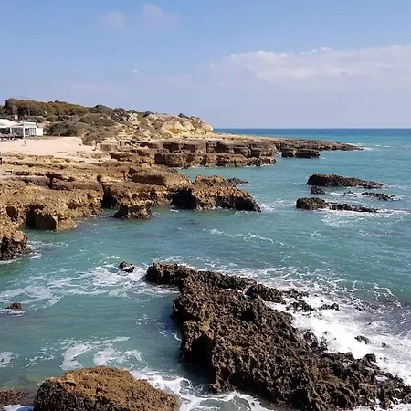 Ocean Balcony Daire Albufeira